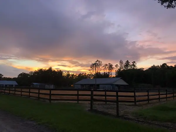 Circle C's Ranch