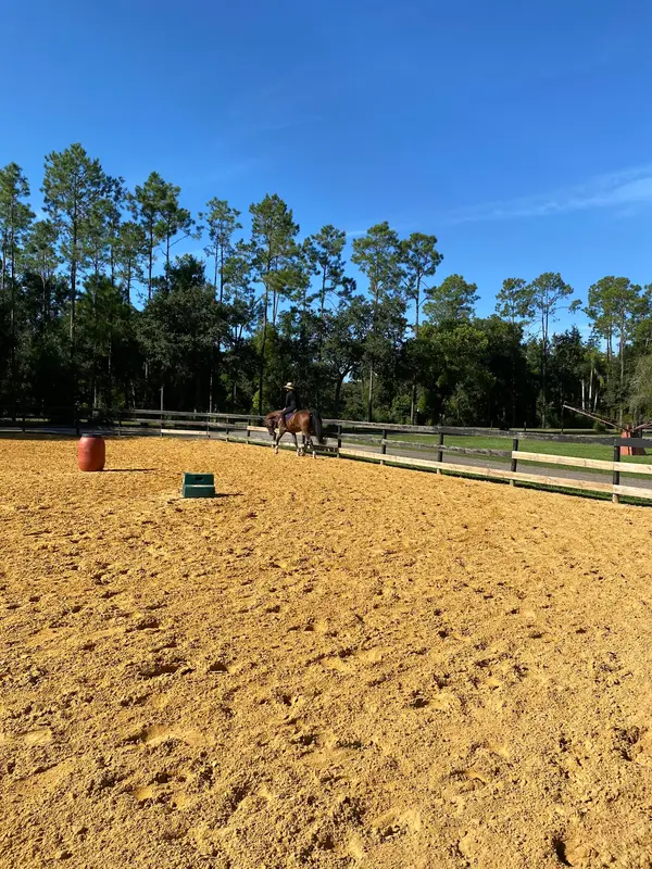 Circle C's Ranch, photo 2