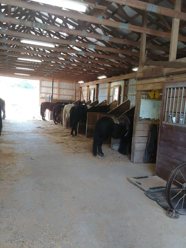 Circle R Ranch