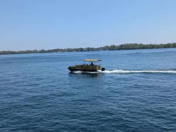 City Cruises Toronto, photo 3