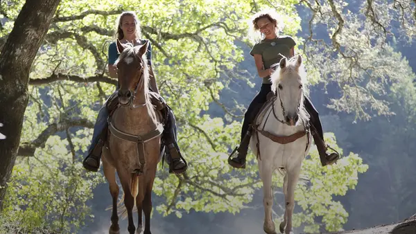 City Island Stables, Inc.