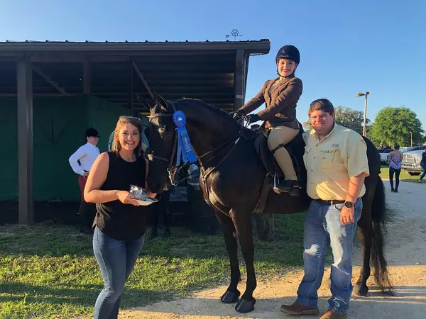 Clearmeadow Morgans and Riding Academy