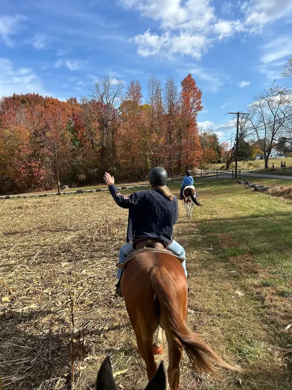 Cloverleaf Stables