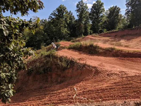 Club Mole Creek MX