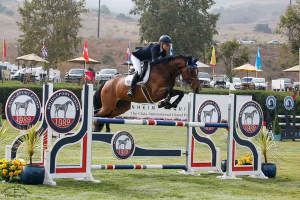 CM Training Stables, photo 4