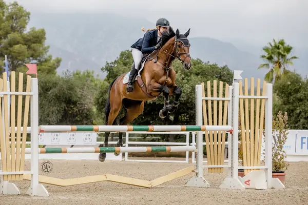 CM Training Stables, photo 1