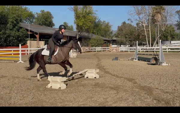 CM Training Stables, photo 2