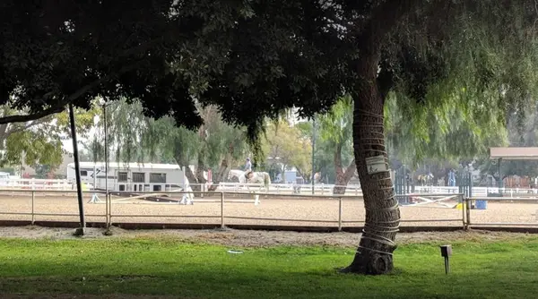 CM Training Stables, photo 3