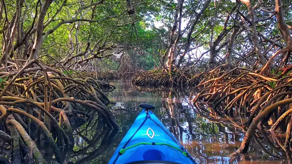 Coastal Kayak Charters