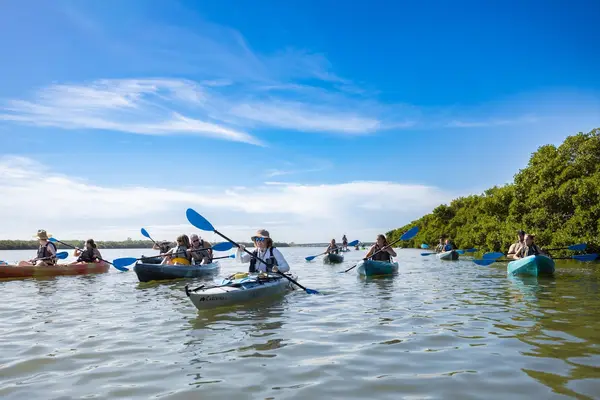 Coastal Kayak Charters, photo 2