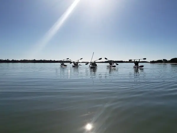 Coastal Kayak Charters, photo 3