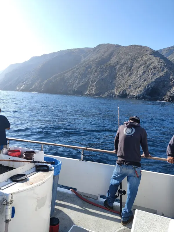 Cobra Sportfishing