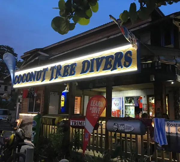 Coconut Tree Divers