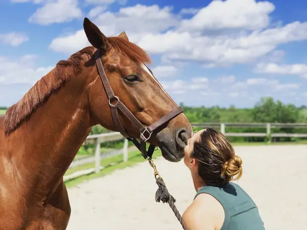 Coda Cavallo Dressage