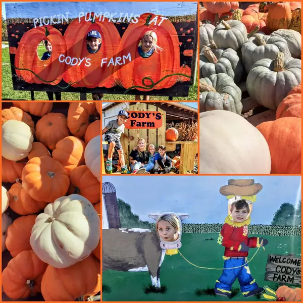 Cody's Farm & Orchard, LLC, Marengo, IL