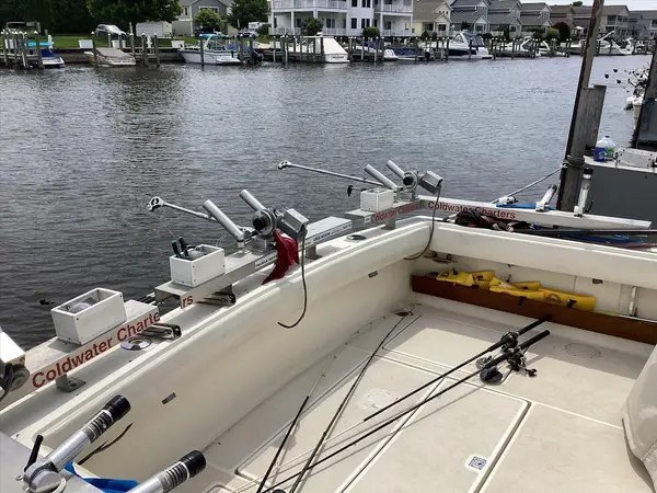Coldwater Charters, St Joseph, MI