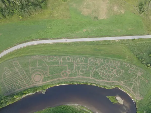 Collins Farm Corn Maze, Bath, NH