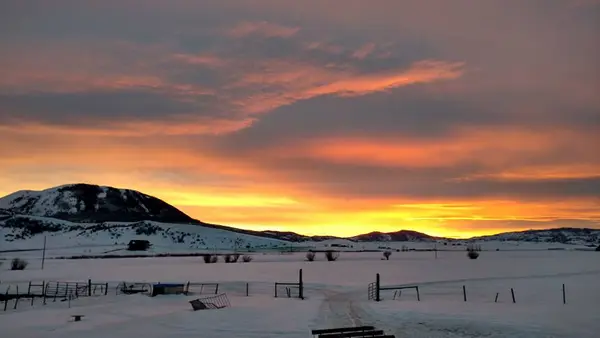 Colorado Premier Outfitters