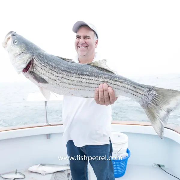 Connecticut Charter and Party Boat Association
