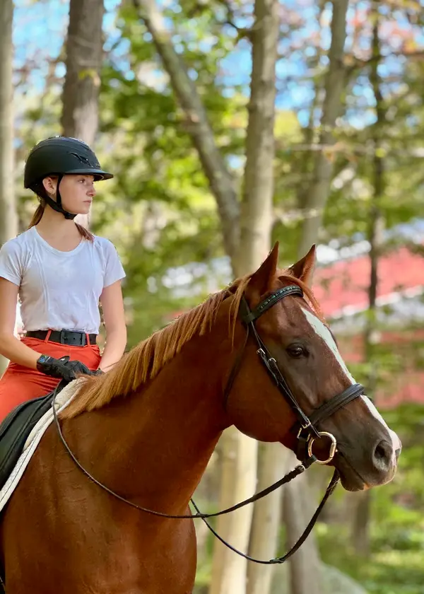 Connecticut Dressage Academy