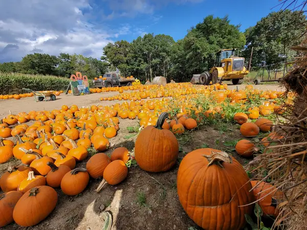 Connors Farm, Danvers, MA