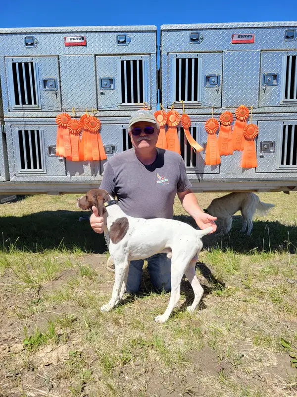 Cooke Canyon Hunt Club & Upland Dogs
