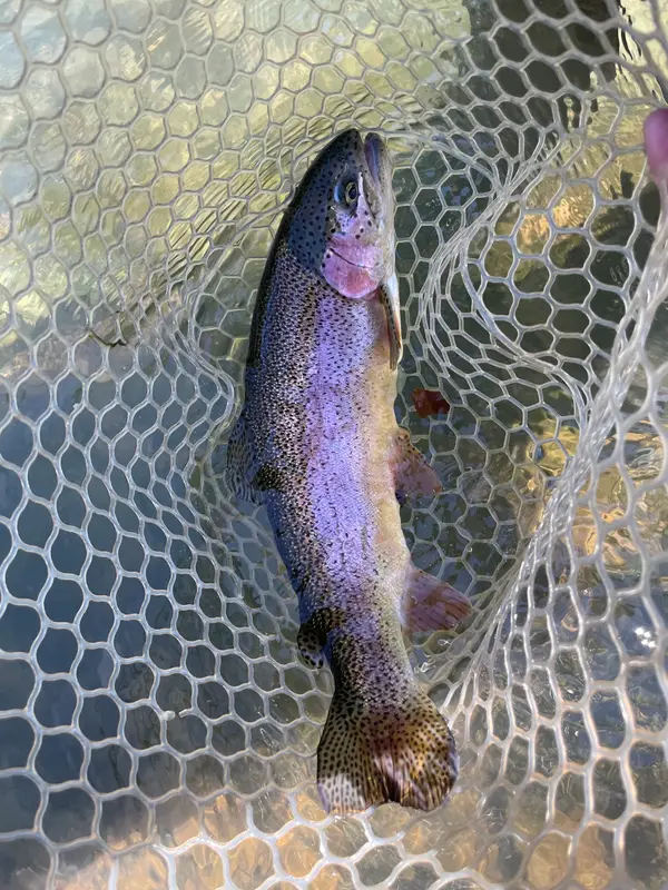 Cool Water Outfitters