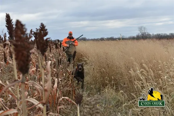 Coon Creek Hunt Club