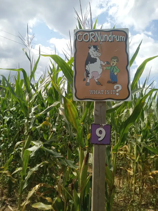 Cooper Family Farm Corn Maze, Milton, WV