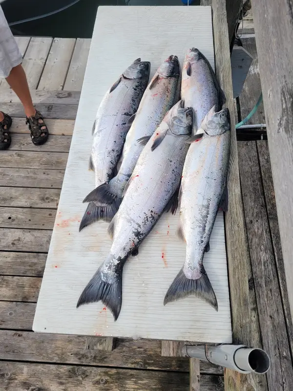 Copper Blues Fishing Charters, photo 1