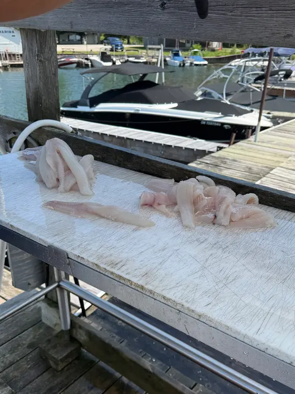 Copper Blues Fishing Charters, photo 2