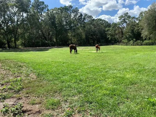 Copper Creek Stables, photo 1