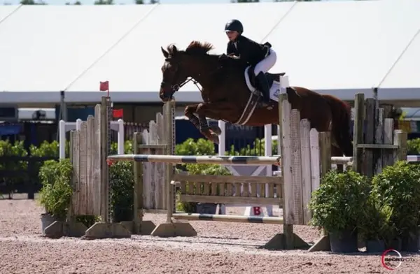 Copper Creek Stables, photo 3