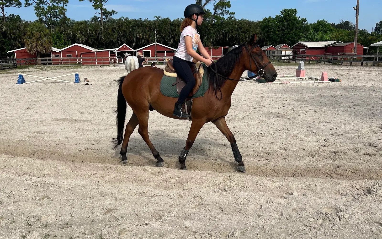 Coral Reef Riding Academy