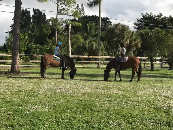 Coral Reef Riding Academy, photo 3
