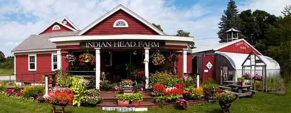 Cordelia's Farm, Berlin, MA