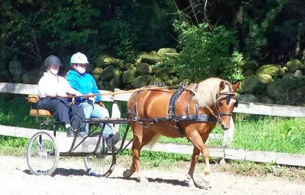 Cornerstone Farm
