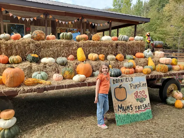 Cornfield County Farms Pumpkin Patch, Wetumpka, AL