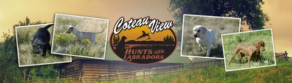 Coteau View Hunts