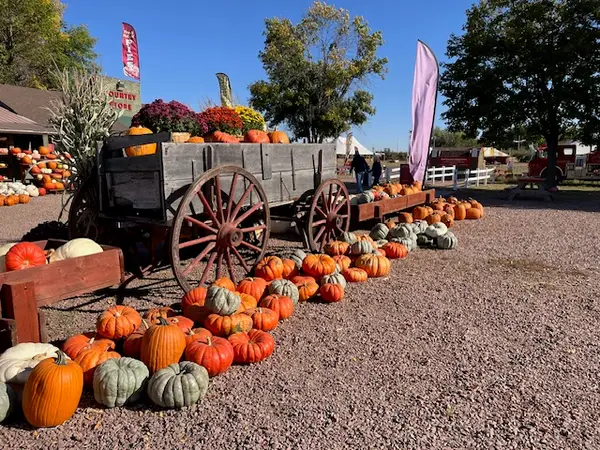 Country Apple Orchard & Pumpkin Patch, Harrisburg, SD