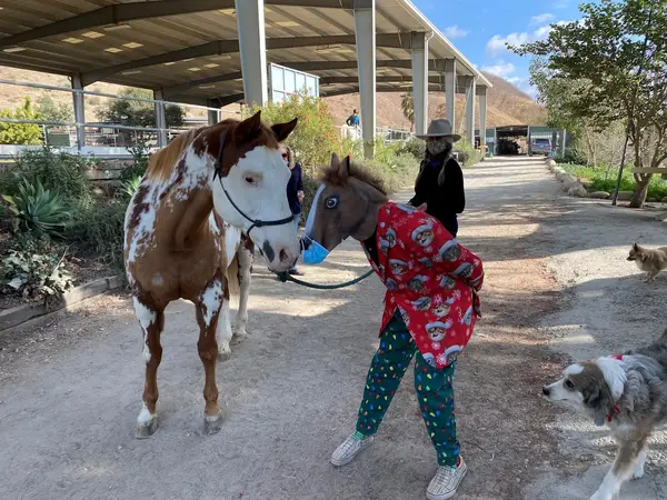 Courtship Ranch, photo 3