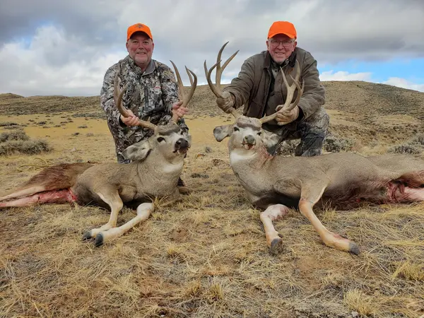 Cowboy Country Outfitters of Wyoming BG#291