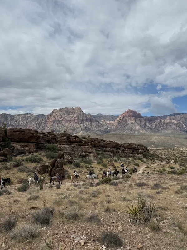Cowboy Trail Rides