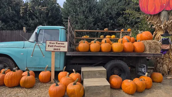 Cox Farms, Centreville, VA