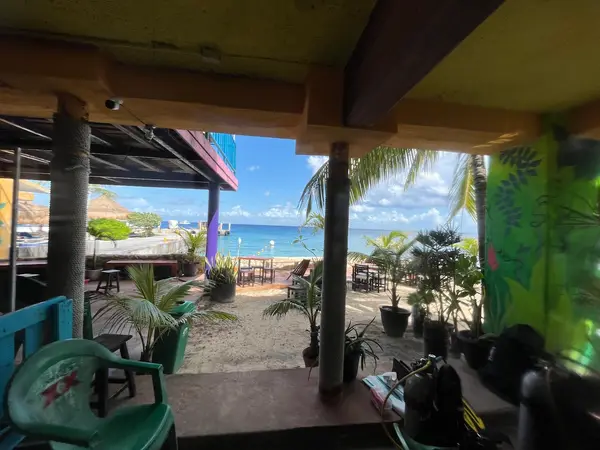 Cozumel Divers