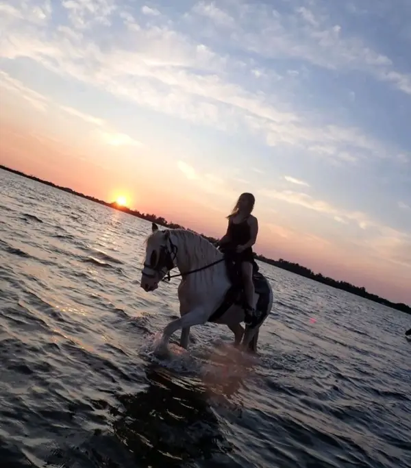 Cponies Beach Horseback Rides, photo 4