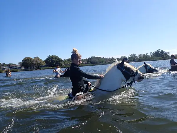 Cponies Beach Horseback Rides, photo 2