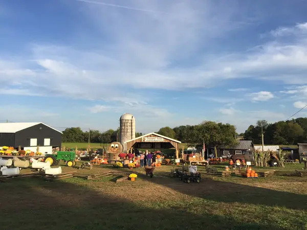Crawford Farms Pumpkin Patch, Elizabethtown, KY