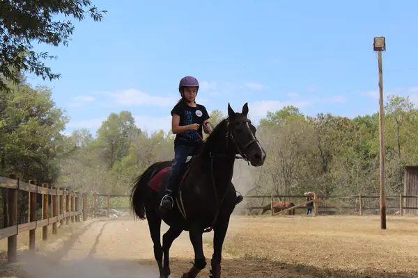 Creekwood Riding Academy