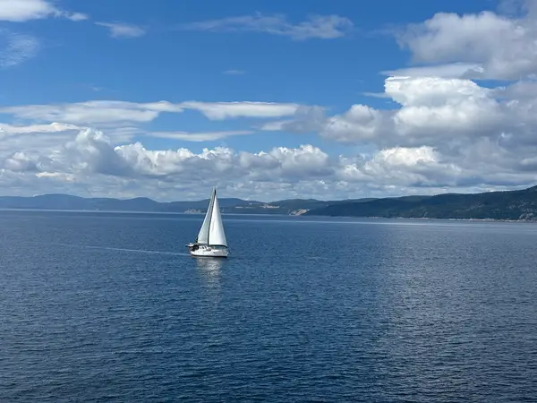 Croisières AML Tadoussac, photo 1